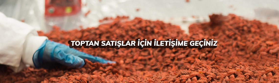 TOPTAN SATIŞLAR1